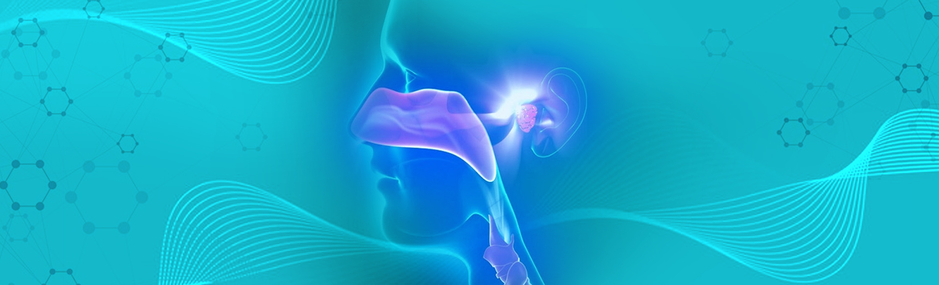 Alia International Hospital