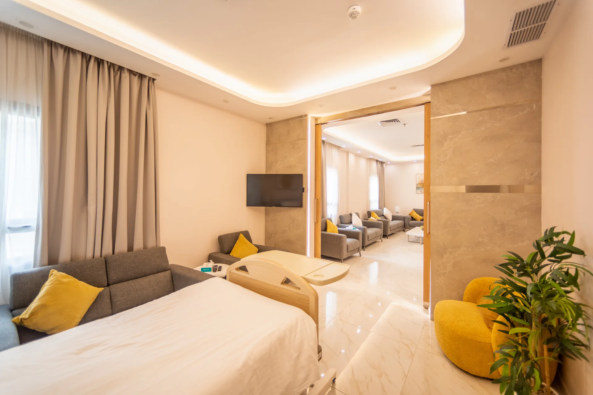 Alia Suite